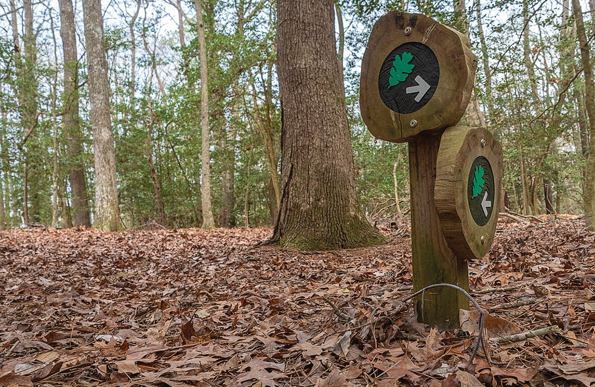 Trail signs at Nassawango Creek Preserve, MD